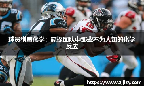 球员猎鹰化学：窥探团队中那些不为人知的化学反应